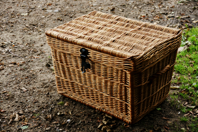 Panier d'osier 2, par Xavier E. G. Dierick